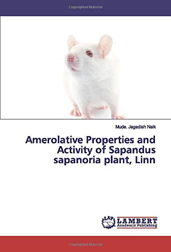 Amerolative Properties and Activity of Sapandus sapanoria plant, Linn