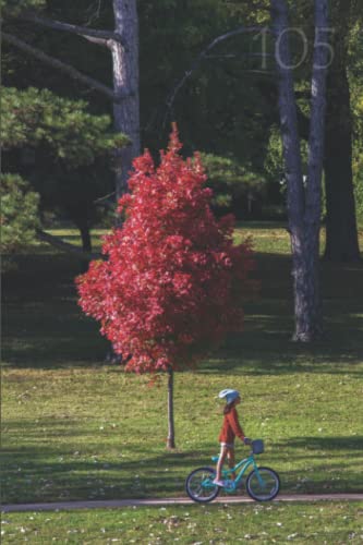 Oelder Buchhandlung – Lange Str, 59302 Oelde