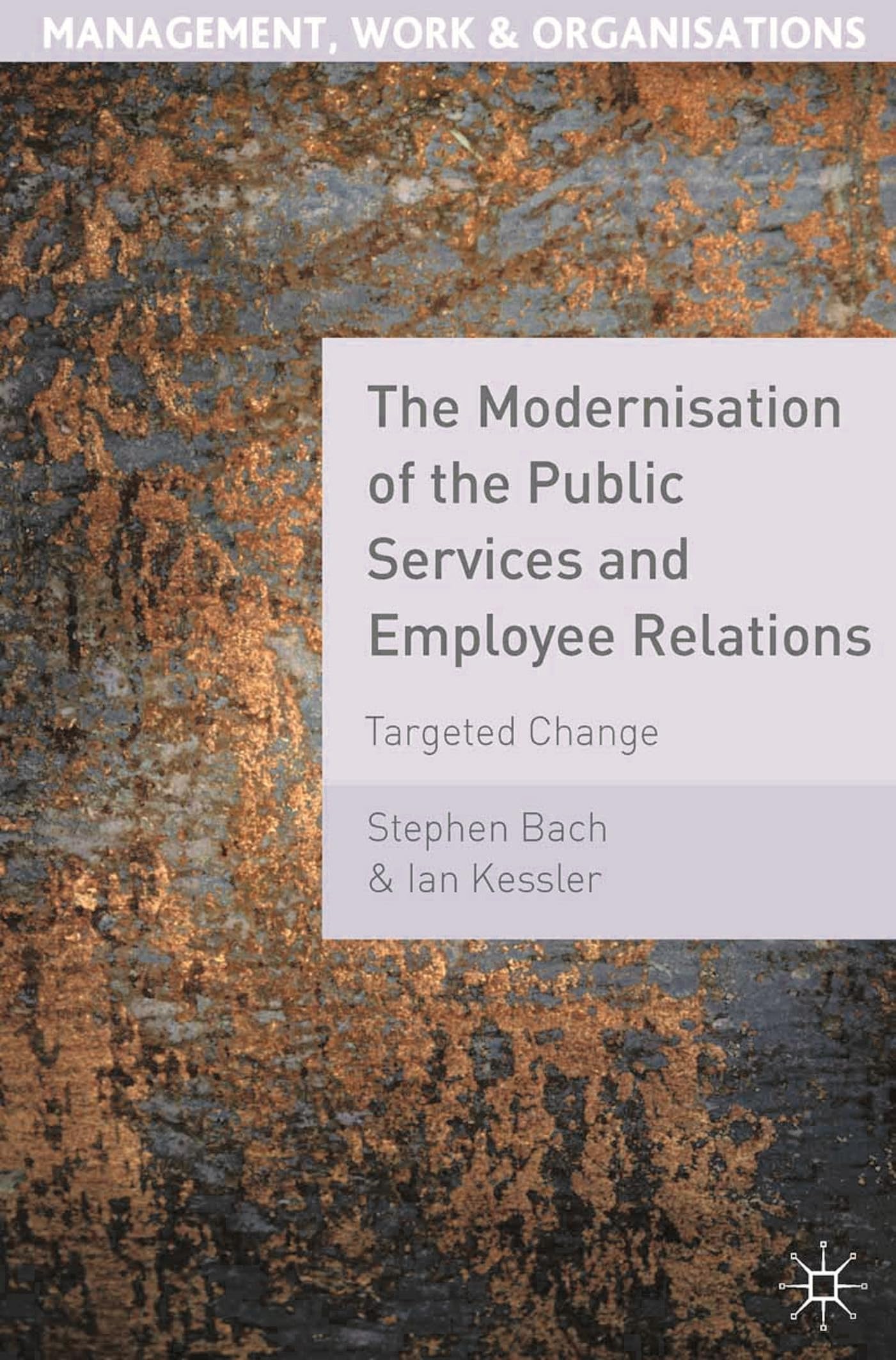The Modernisation of the Public Services and Employee Relations: Targeted Change (Management, Work and Organisations)