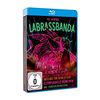 LaBrassBanda - Around the World Live - 10 Jahre LaBrassBanda [Blu-ray]