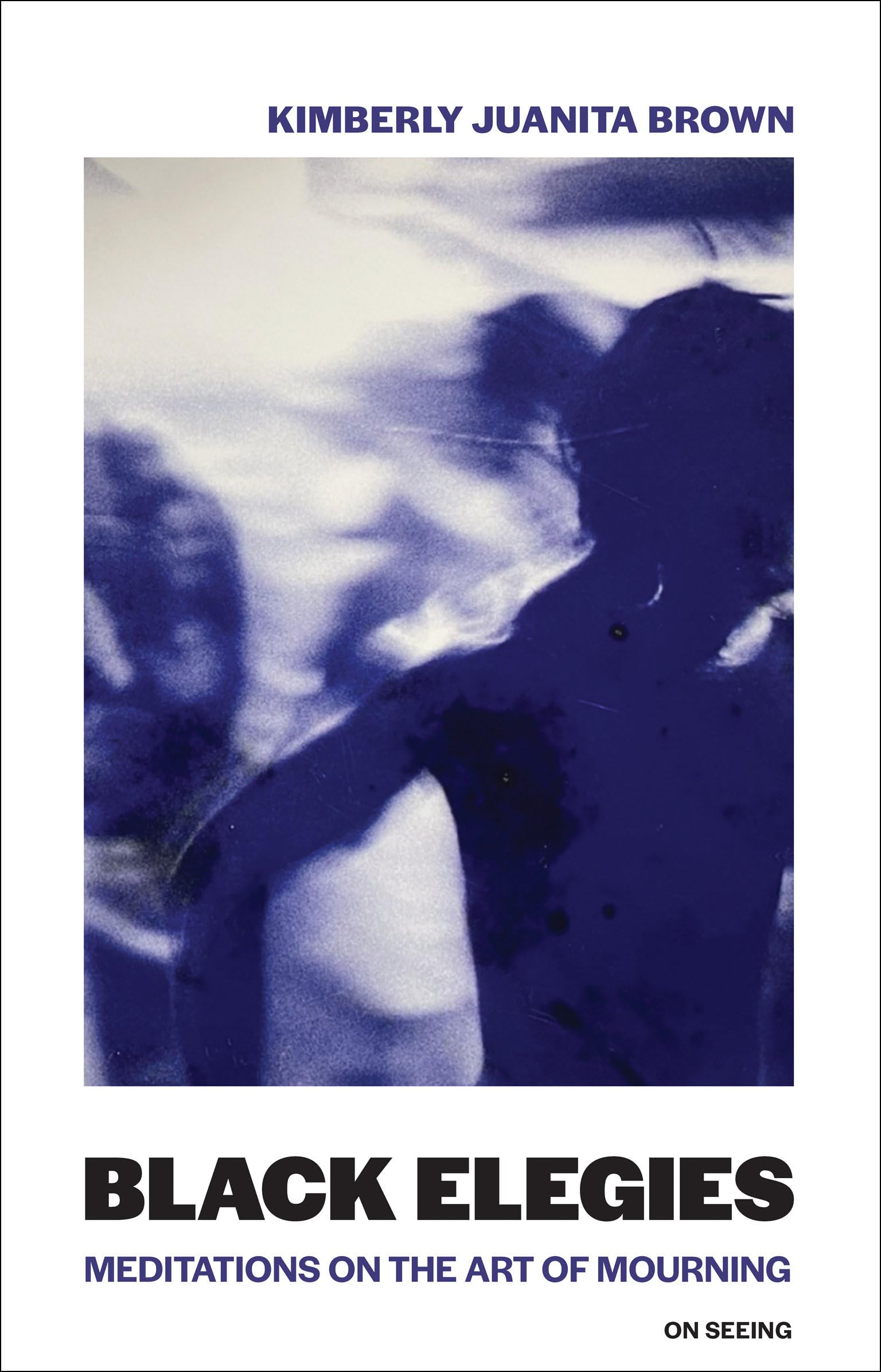 Black Elegies: Meditations on the Art of Mourning (On Seeing, Band 2)