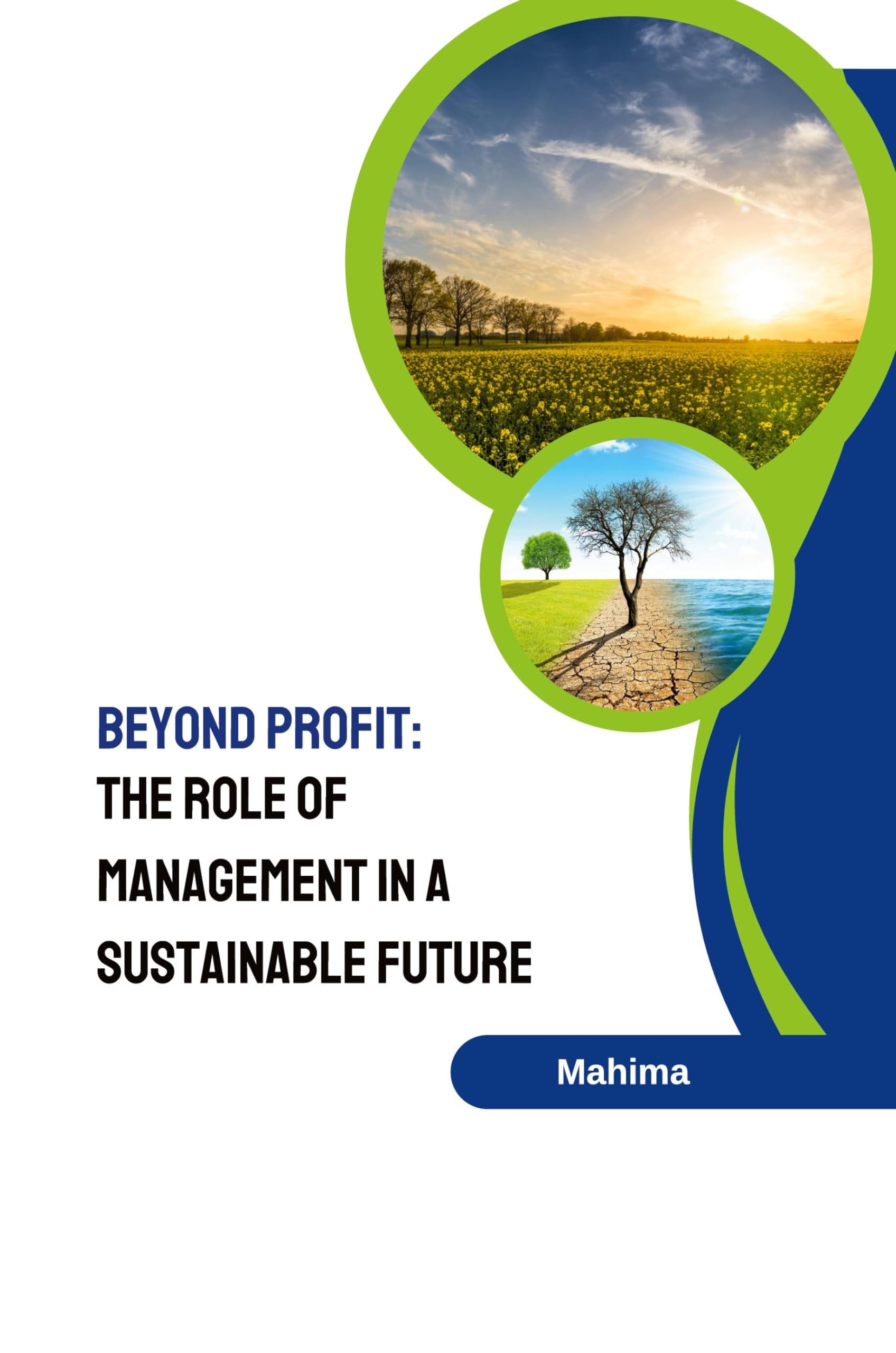Beyond Profit: The Role of Management in a Sustainable Future: DE