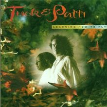Learning How to Fly by Tuck & Patti | CD | condition good