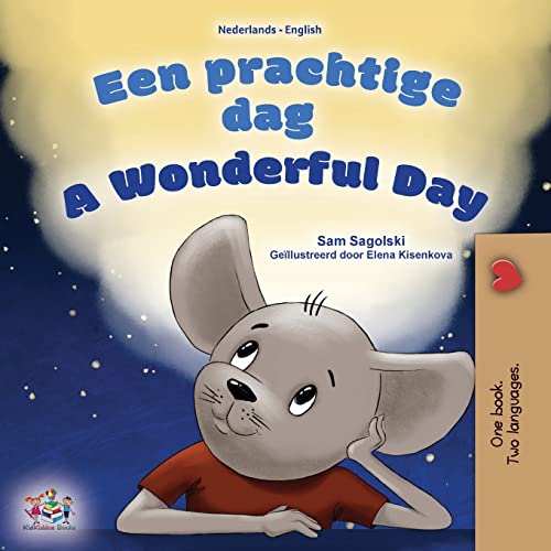 A Wonderful Day (Dutch English Bilingual Children's Book) (Dutch English Bilingual Collection)