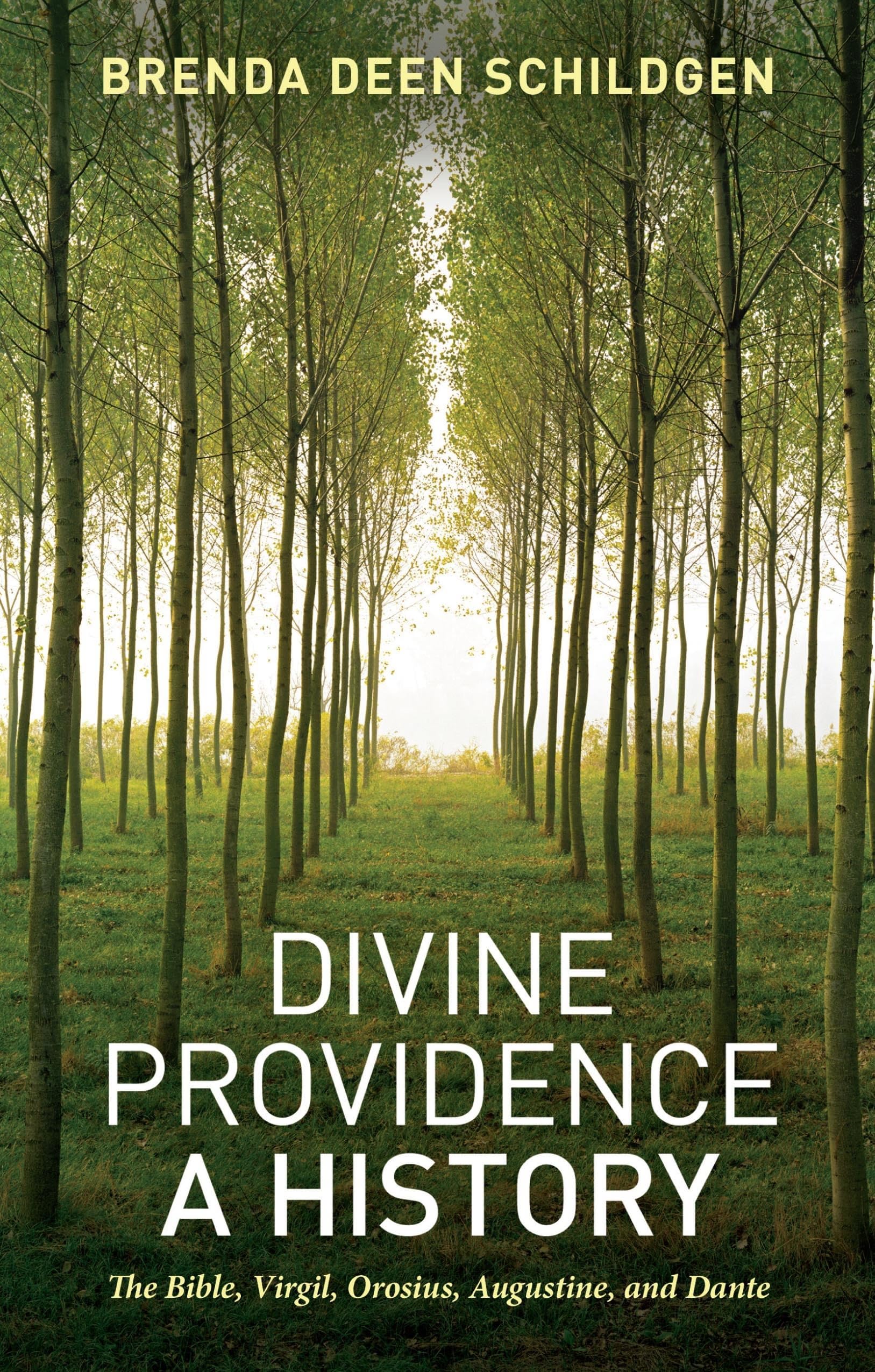 Divine Providence: A History: The Bible, Virgil, Orosius, Augustine, and Dante