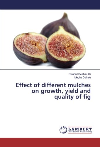 Effect of different mulches on growth, yield and quality of fig