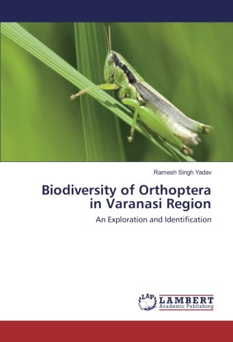 Biodiversity of Orthoptera in Varanasi Region: An Exploration and Identification