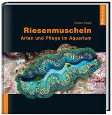 Riesenmuscheln: Arten und Pflege im Aquarium