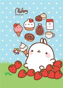 Molang : 50 recettes de desserts coréens