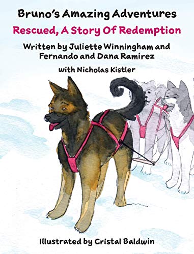 Rescued, A Story Of Redemption (Bruno's Amazing Adventures, Band 4)