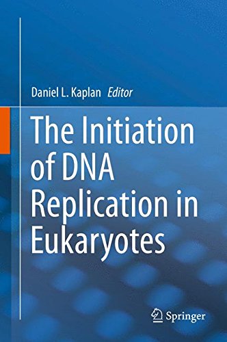 The Initiation of DNA Replication in Eukaryotes