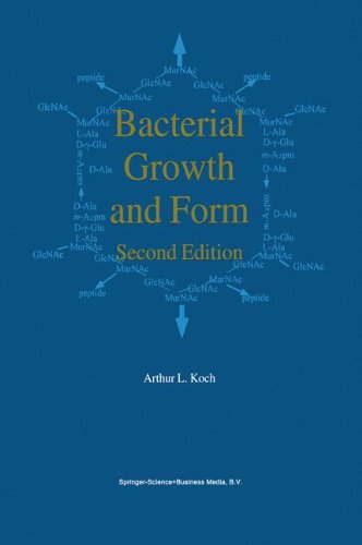 Bacterial Growth and Form
