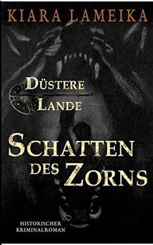 Düstere Lande: Schatten des Zorns: Band 2 der Mittelalterreihe 