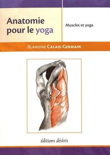 Muscles et yoga : anatomie pour le yoga