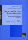 Wege zu effektiven Psychotherapien, Bd.1, Modelle, Konzepte, Settings