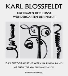 Karl Blossfeldt 1865-1932 : Das fotografische Werk