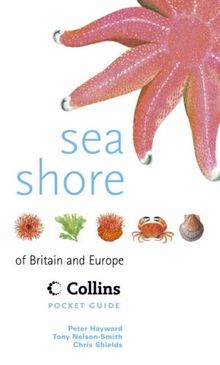 Sea Shore of Britain and Northern Europe (Collins Pocket Guides)