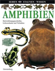 Amphibien: Entwicklungsgeschichte, Lebensräume und Verhalten