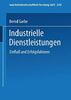 Industrielle Dienstleistungen: Einfluß und Erfolgsfaktoren (neue betriebswirtschaftliche forschung (nbf), 240, Band 240)