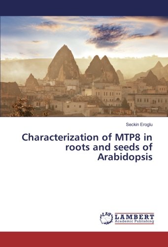 Characterization of MTP8 in roots and seeds of Arabidopsis