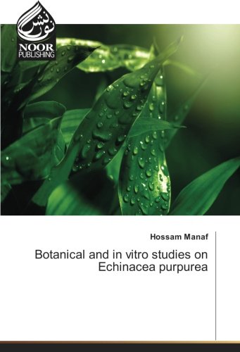 Botanical and in vitro studies on Echinacea purpurea