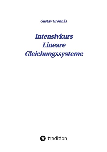 Intensivkurs Lineare Gleichungssysteme: Ein Lehrbuch und Nachschlagewerk für das Selbststudium