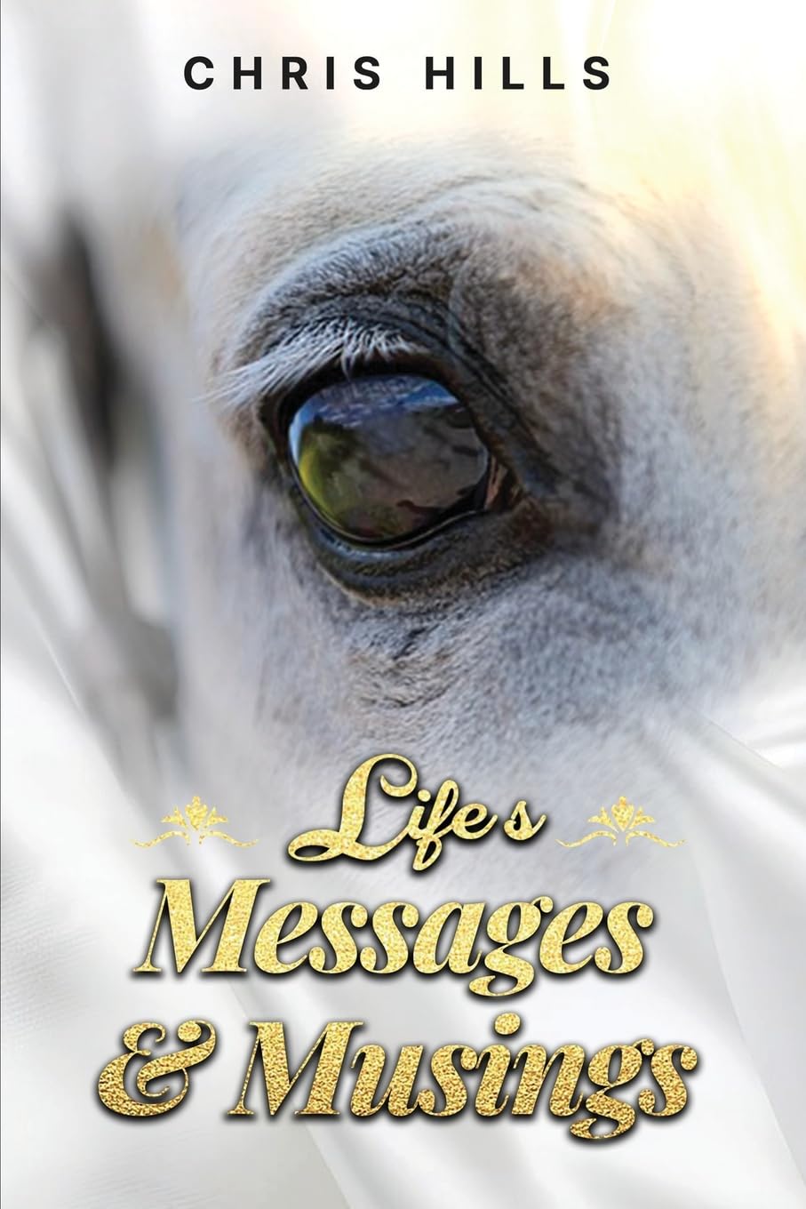 Life's Messages and Musings