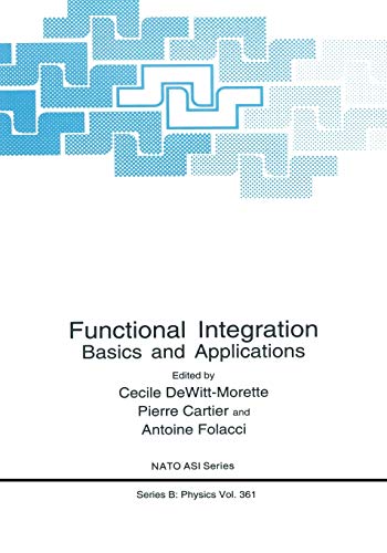 Functional Integration: Basics And Applications (Nato Science Series B: (Closed)) (Nato Science Series B:, 361, Band 361)