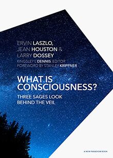 What is Consciousness?: Three Sages Look Behind the Veil (A New Paradigm Book)