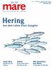 mare - Die Zeitschrift der Meere / No. 135 / Hering: Aus dem Leben eines Gejagten