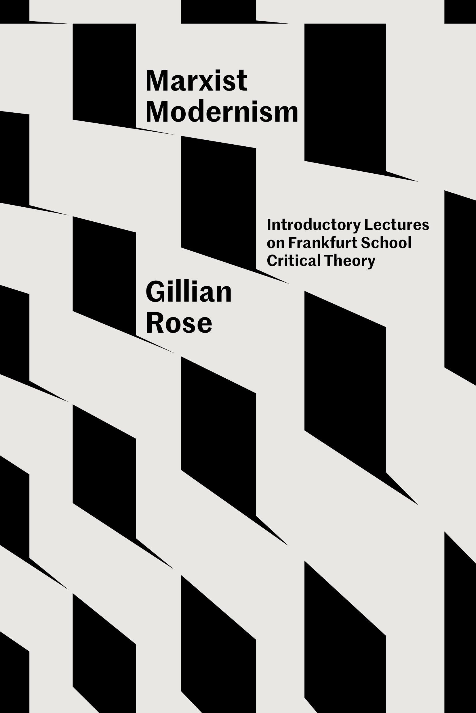 Gillian Rose Marxist Modernism, Introductory Lectures On Frankfurt School Critical Theory