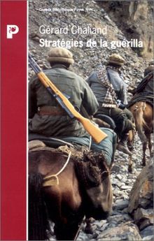 Stratégies de la guérilla. Voyage dans vingt ans de guérillas et autres conflits irréguliers