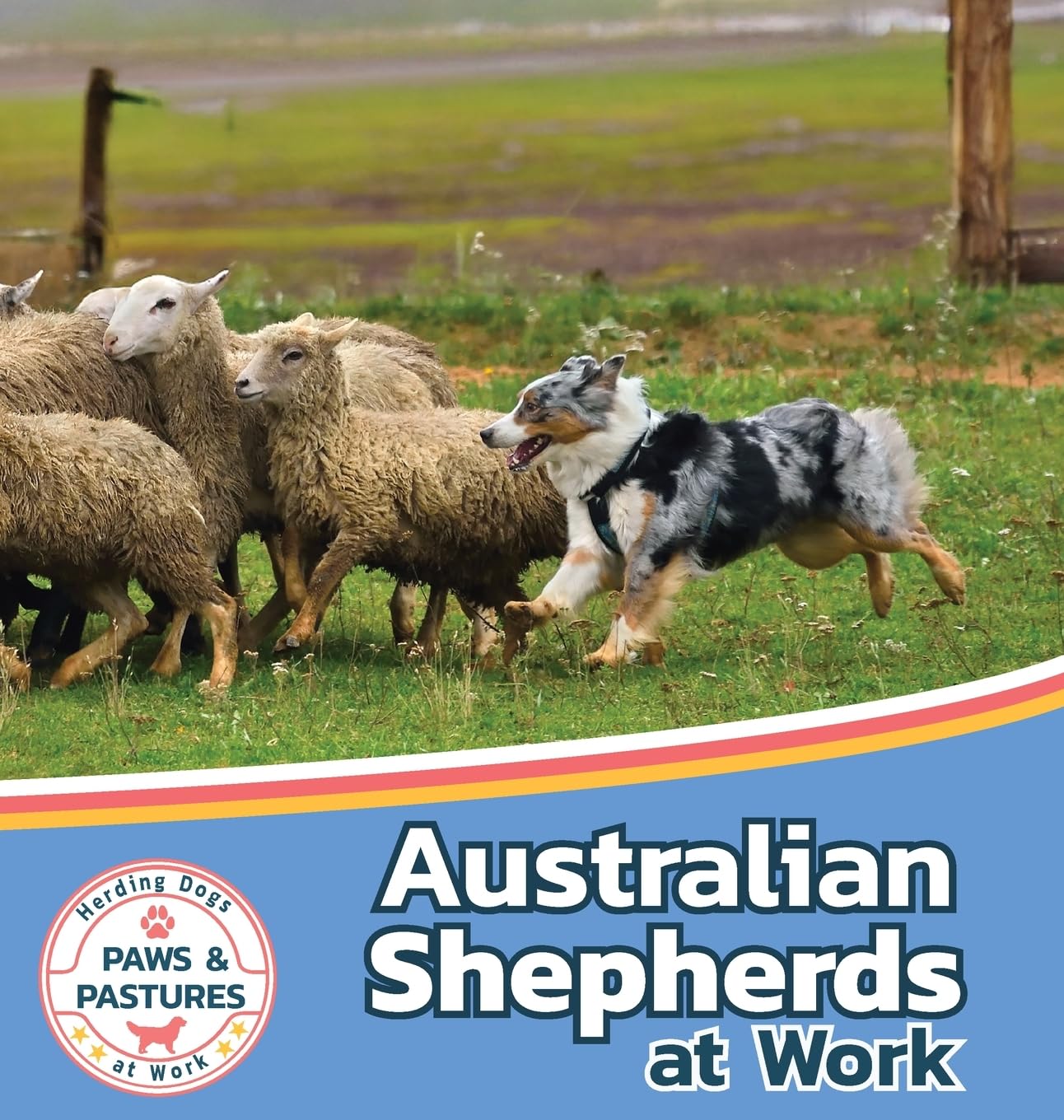 Australian Shepherds at Work (Paws and Pastures: Herding Dogs at Work, Band 1)