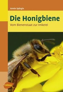 Die Honigbiene - Vom Bienenstaat zur Imkerei von Armin Spürgin | Buch | Zustand gut