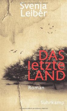 Das letzte Land: Roman