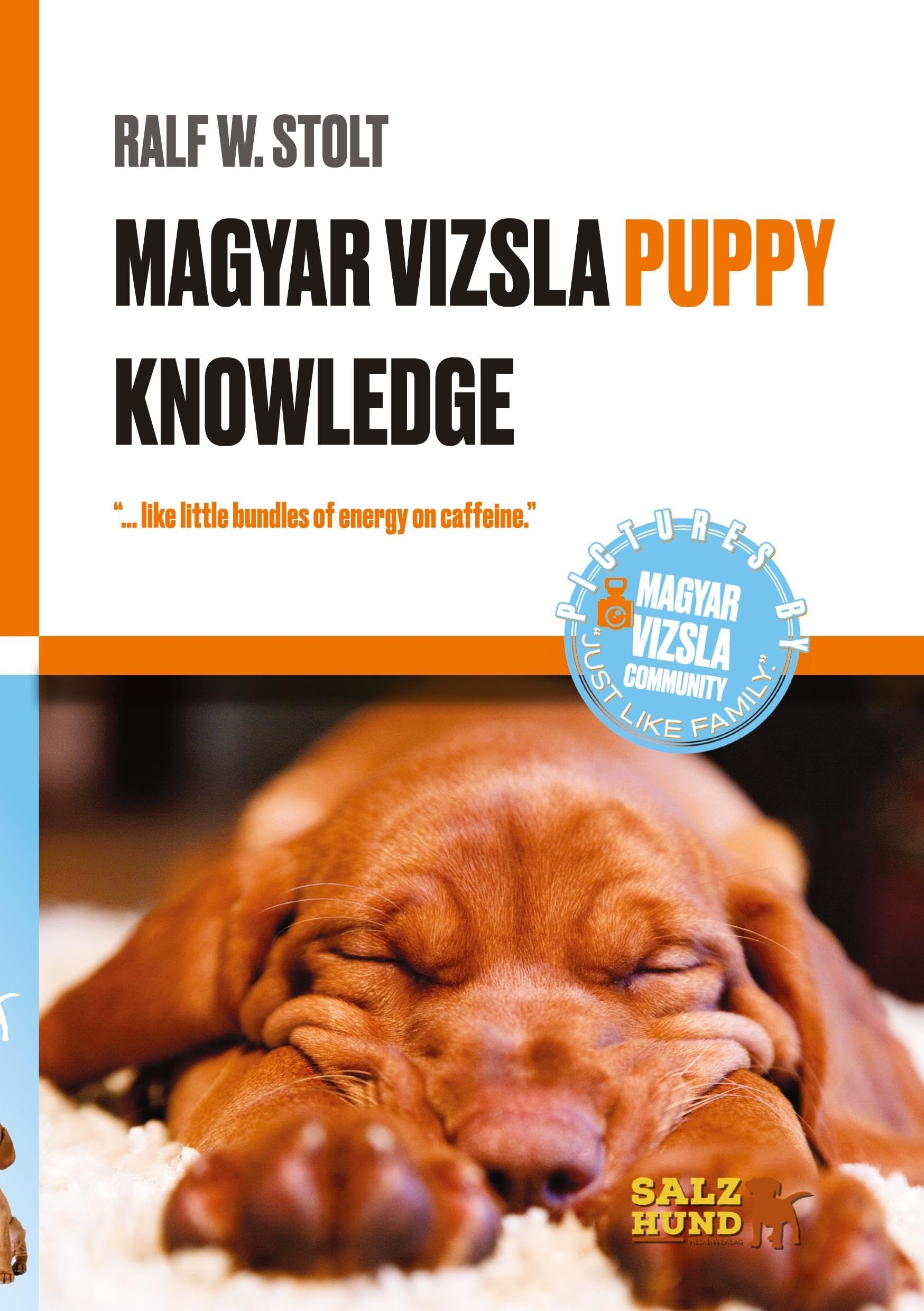 Magyar Vizsla PUPPIES Knowledge: “...like little bundles of energy on caffeine.” (Magyar Vizsla Wissen: Verstehe Deinen ungarischen Jagdhund)