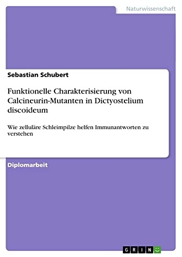 Funktionelle Charakterisierung von Calcineurin-Mutanten in Dictyostelium discoideum: Wie zelluläre Schleimpilze helfen Immunantworten zu verstehen