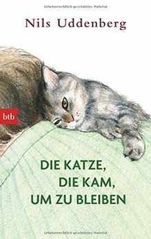 Die Katze, die kam, um zu bleiben