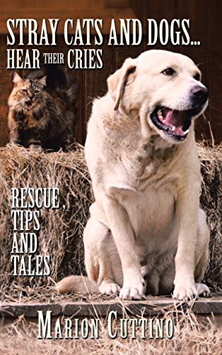 Stray Cats and Dogs...Hear Their Cries: Rescue, Tips and Tales