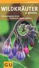 Wildkräuter und Beeren: Die wichtigsten Arten entdecken und bestimmen (GU Naturführer 2012)