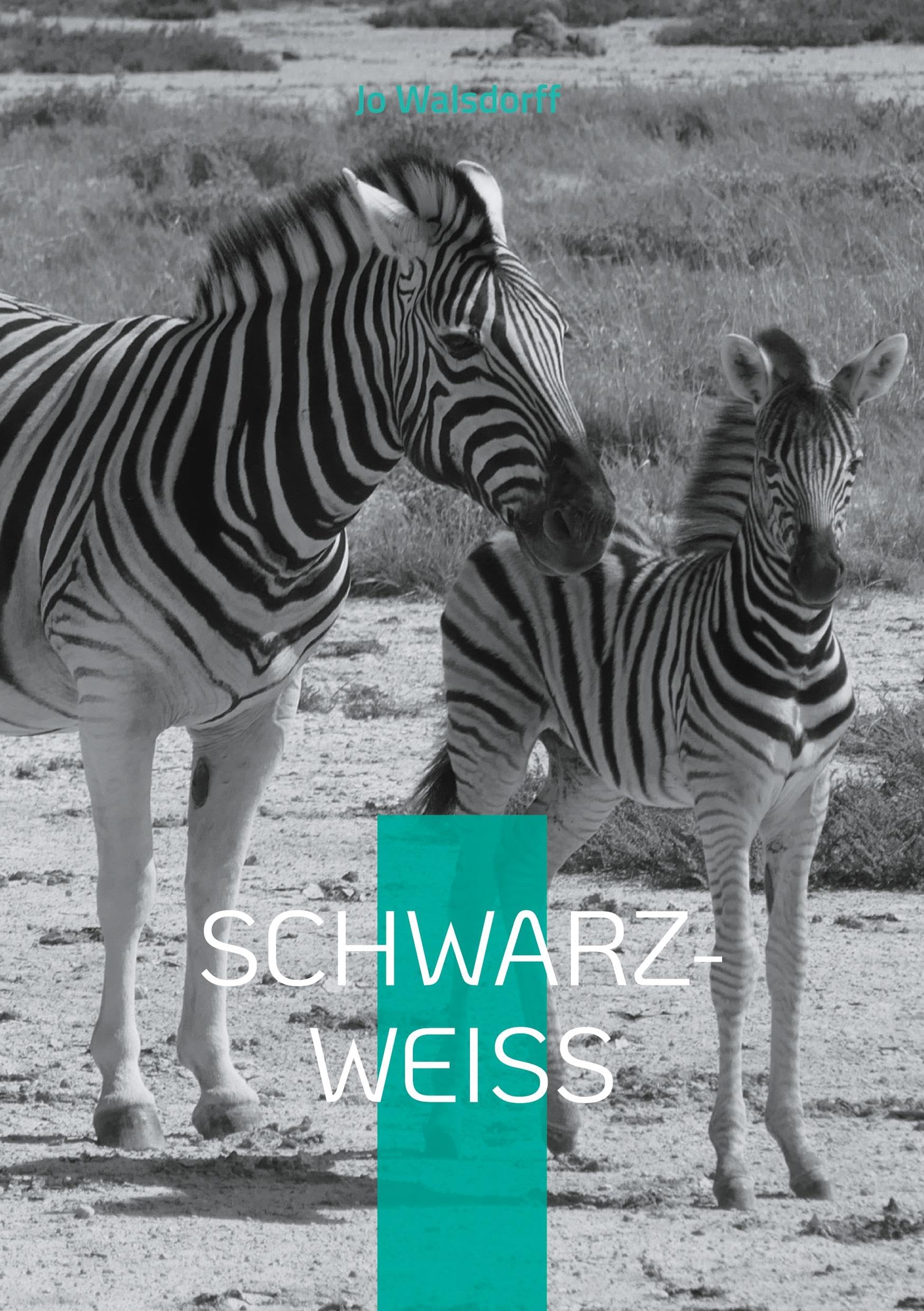 Schwarz-Weiß: Reise in Afrika