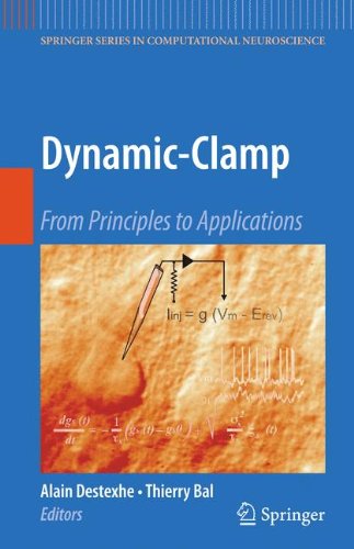 Dynamic-Clamp: From Principles to Applications (Springer Series in Computational Neuroscience)