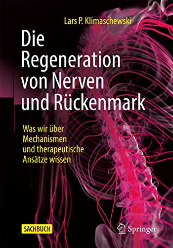 Die Regeneration von Nerven und Rückenmark: Was wir über Mechanismen und therapeutische Ansätze wissen