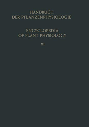 Heterotrophie / Heterotrophy (Handbuch der Pflanzenphysiologie Encyclopedia of Plant Physiology, 11, Band 11)
