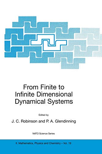 From Finite to Infinite Dimensional Dynamical Systems (NATO Science Series II: Mathematics, Physics and Chemistry, 19, Band 19)