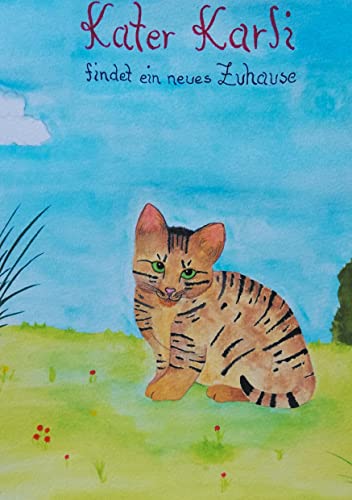 Kater Karli: findet ein neues Zuhause