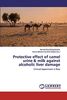 Protective effect of camel urine & milk against alcoholic liver damage: Clinical Experiment in Rats