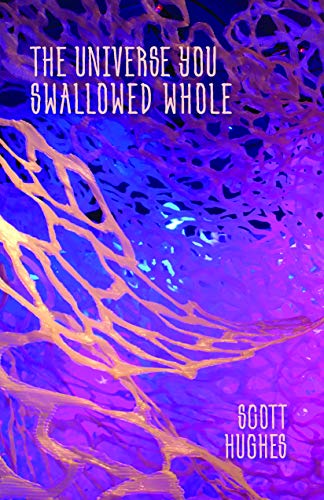 The Universe You Swallowed Whole