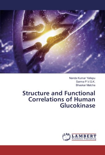 Structure and Functional Correlations of Human Glucokinase