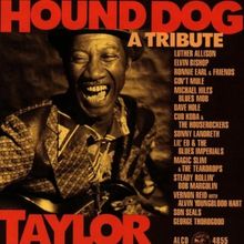 Hound Dog Taylor: a Tribute de Various  | CD | état bon
